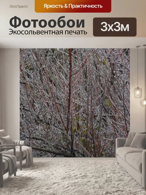 Фотообои Замороженные ветки
