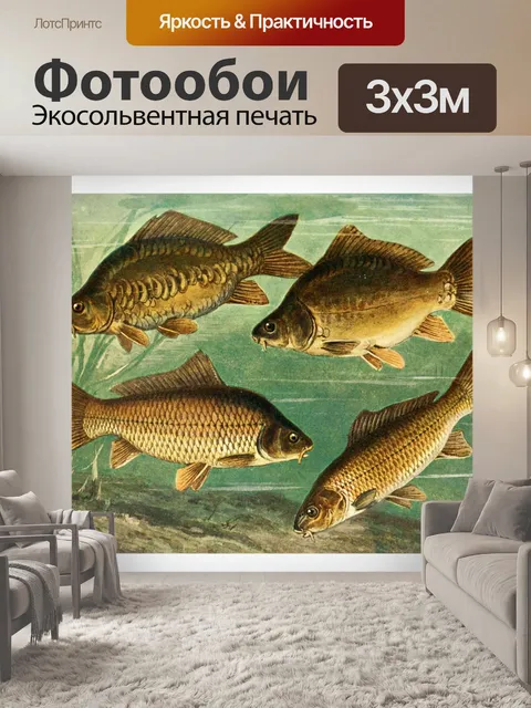 Фотообои Карп пресноводная рыба винтаж