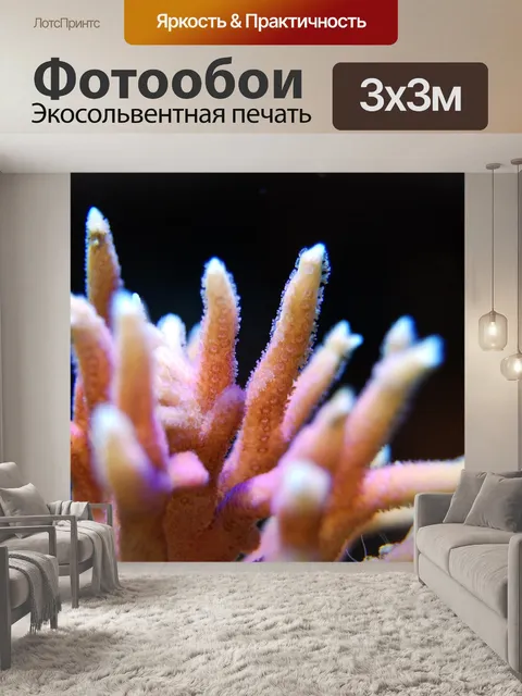 Фотообои Коралл