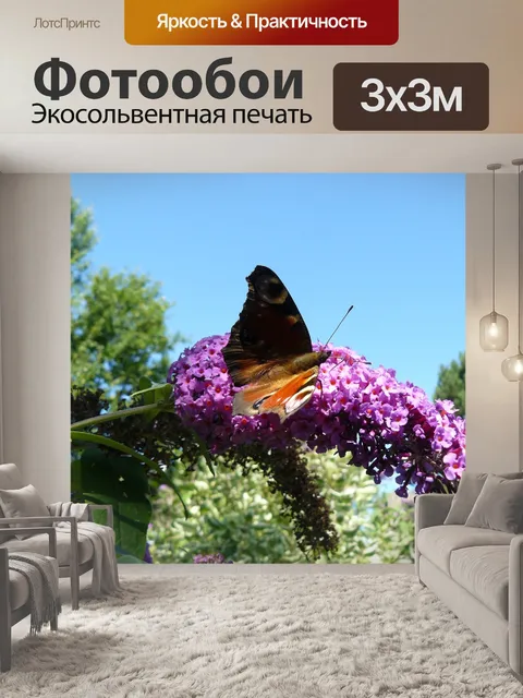 Фотообои Павлиний глаз