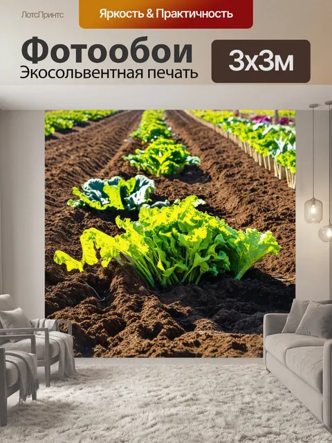Фотообои коричневый огород с овощами, яркими на фоне земли, в солнечном свете