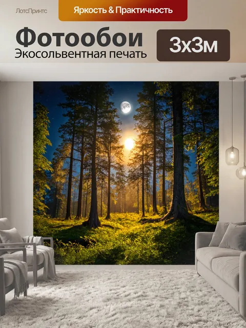 Фотообои лес с яркими рассветами и лунными ночами