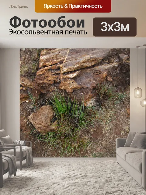 Фотообои Появляется гроздь зеленой травы