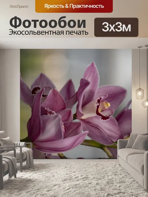 Фотообои Цимбидиум Орхидея