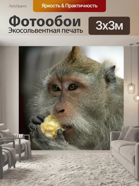 Фотообои Бали