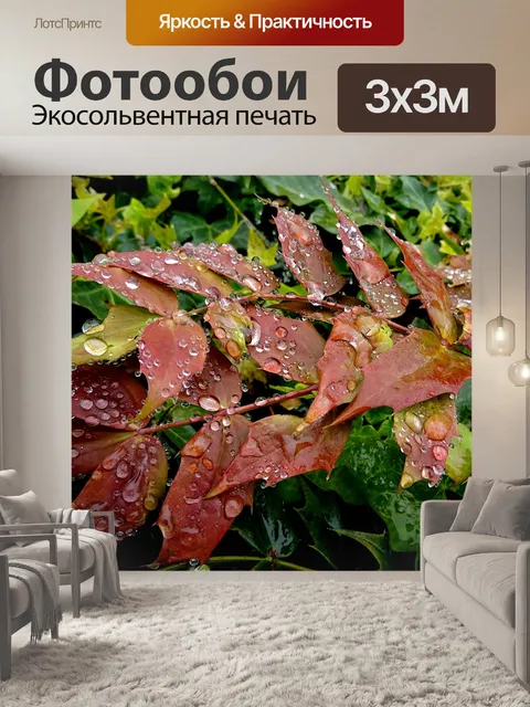 Фотообои Капли дождевой воды на кустарнике сада