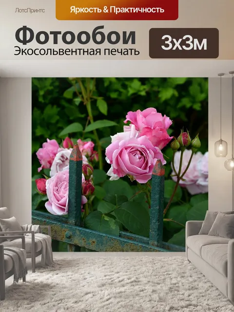Фотообои Розы