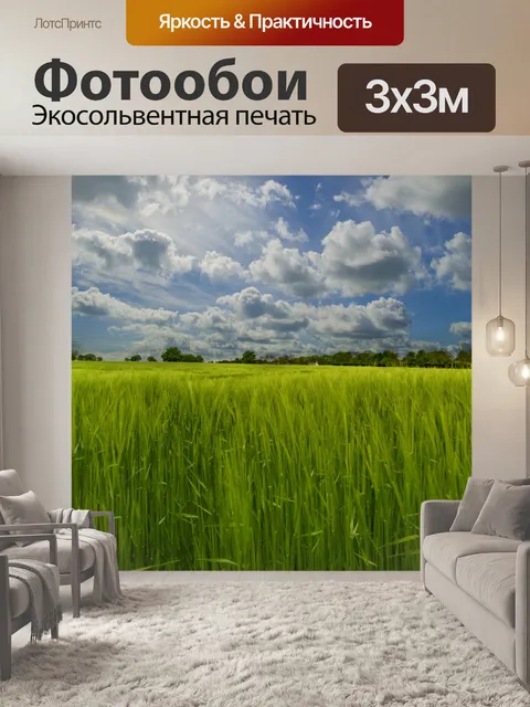 Фотообои Поле зеленого ячменя