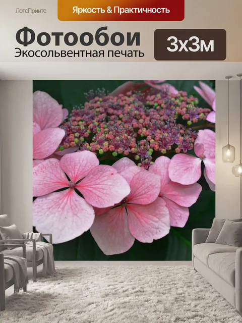 Фотообои Расцветает