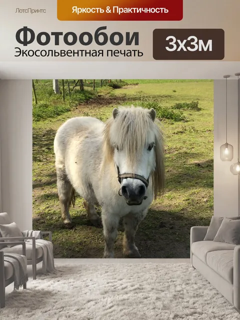 Фотообои Пони