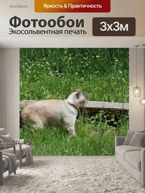 Фотообои Сиамская кошка в профиль