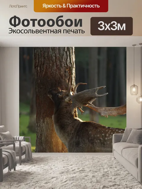 Фотообои Лань олень косуля