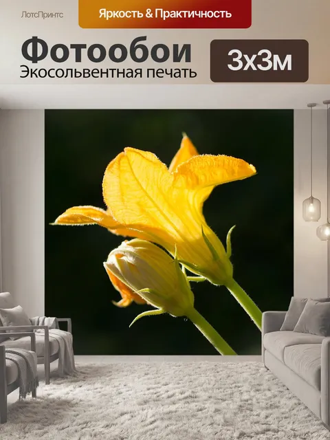 Фотообои Тыква