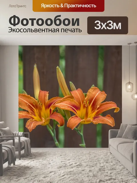 Фотообои Лилия