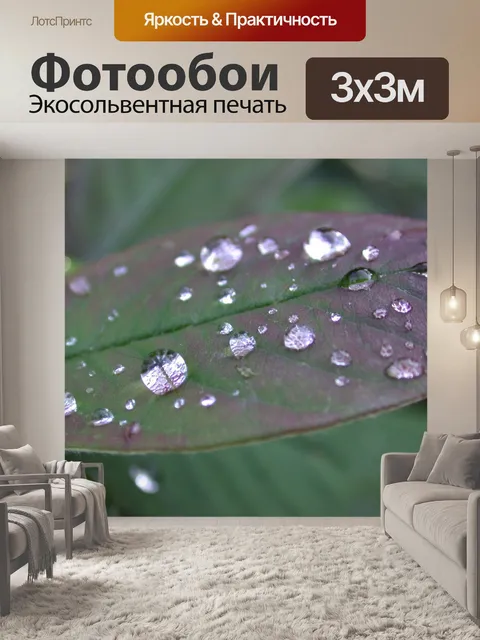 Фотообои Капли дождя