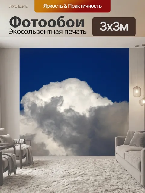Фотообои выпуклое белое облако на фоне неба