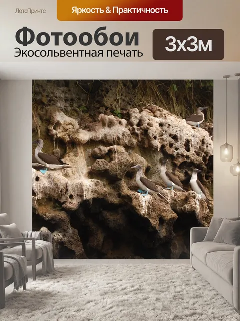 Фотообои Птицы