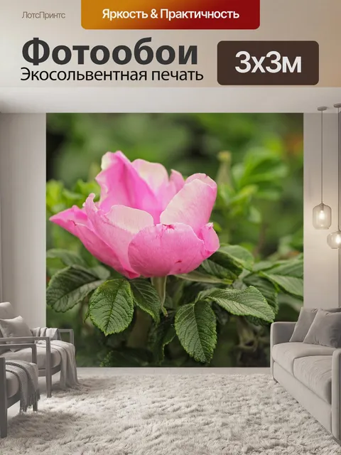 Фотообои Собачьи розы