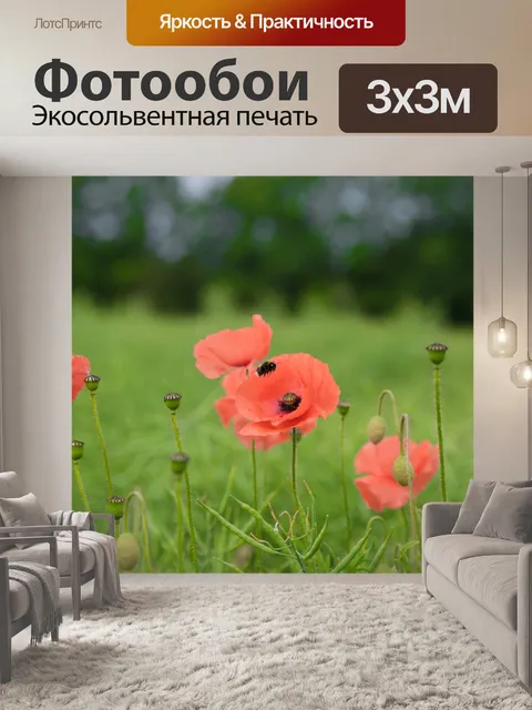 Фотообои Красный мак