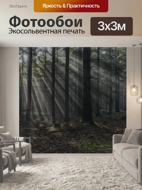Фотообои солнечные лучи в лесу IV
