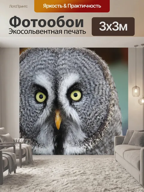 Фотообои Барт сова