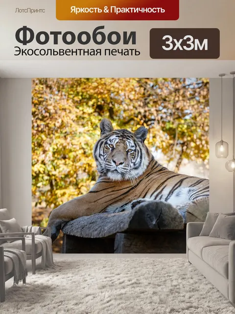Фотообои Природа