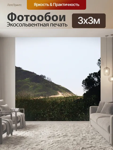 Фотообои большая покрытая растительностью дюна