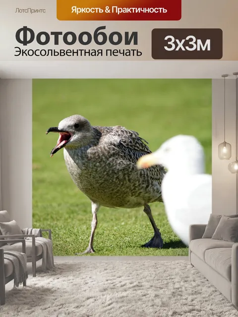 Фотообои Птицы