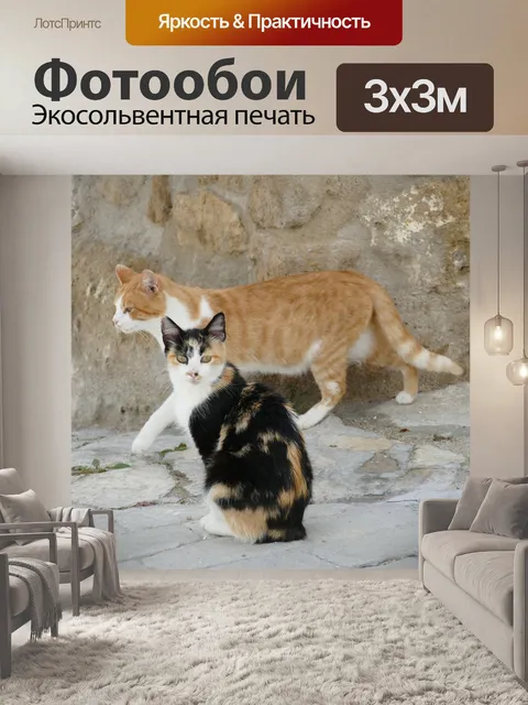 Фотообои Кошка