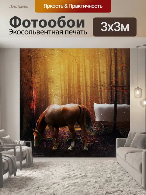 Фотообои Лошадь