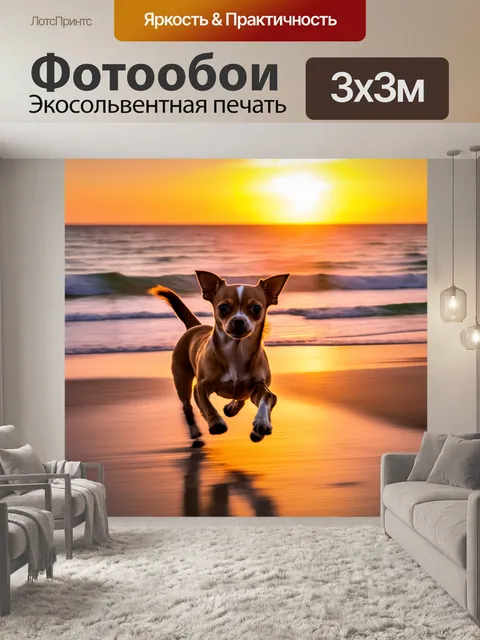 Фотообои изображение чихуахуа, бегущей по берегу моря на закате