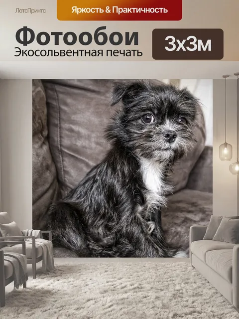 Фотообои Собака