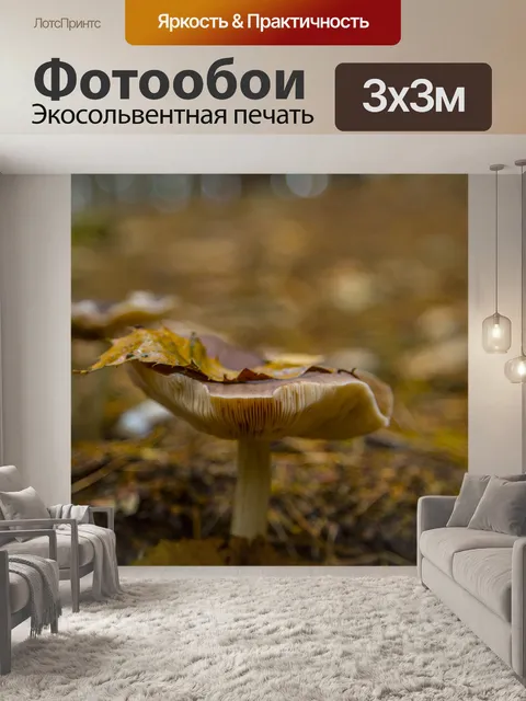 Фотообои грибы