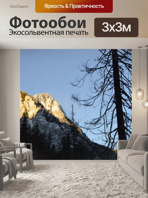 Фотообои Зима
