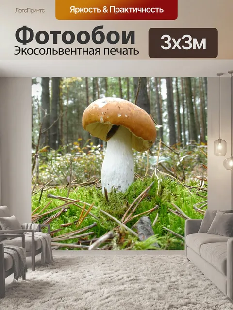Фотообои Гриб