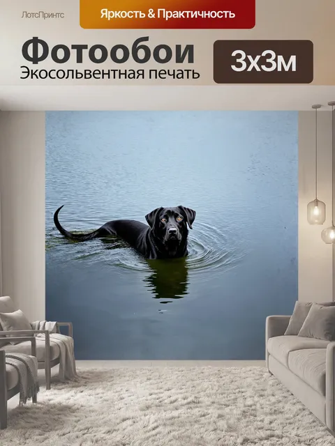 Фотообои черный лабрадор, плывущий в спокойных водах озера, с использованием техники отражения, создавая эффект…