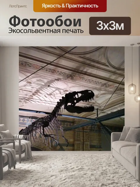 Фотообои Профиль скелета динозавра