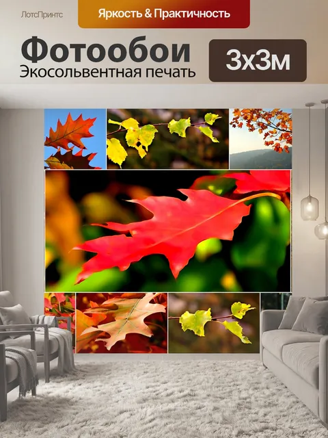 Фотообои Коллаж