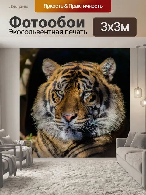 Фотообои Тигр