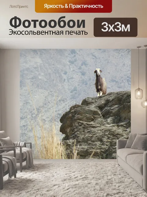 Фотообои Оман