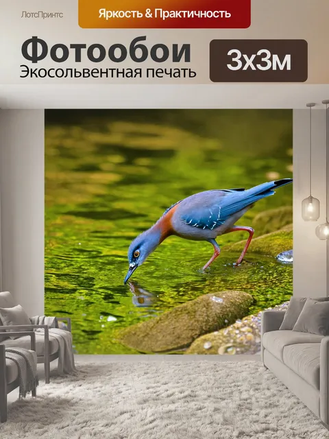 Фотообои птица, пьющая из маленького ручья, с кристально чистой водой и зелеными отражениями, выполненная в технике…