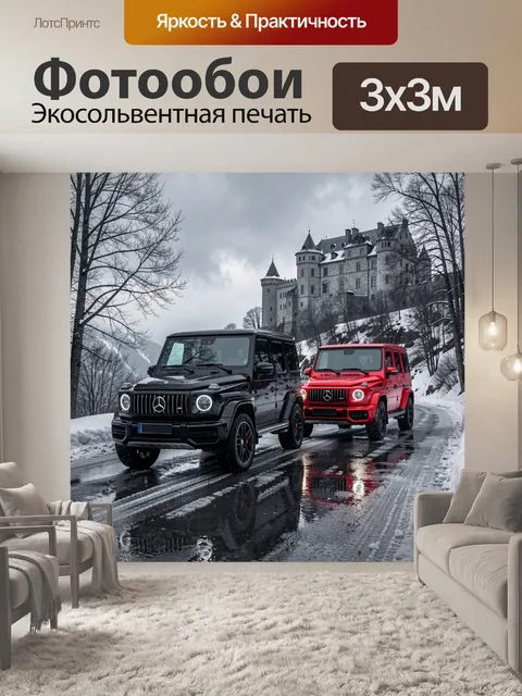 300 × 300 см · Экосольвентная печать