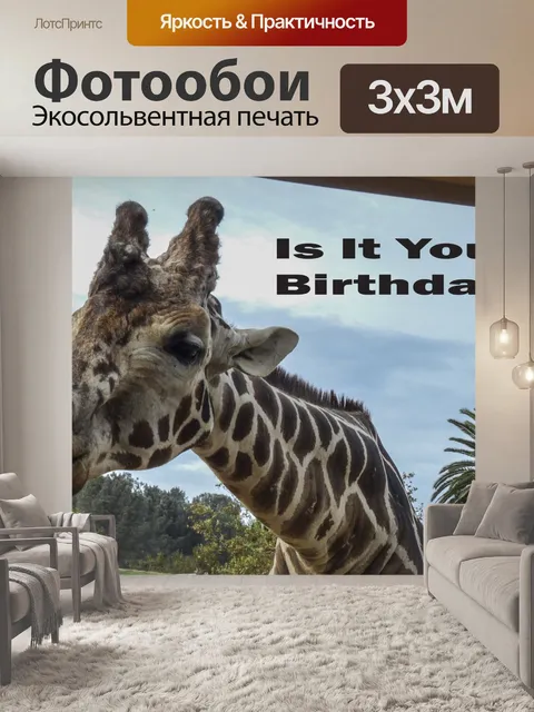 Фотообои Жираф в поисках пищи
