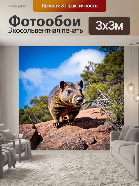 Фотообои вомбат, взбирающийся на скалистый холм, окружающий природный заповедник тасмании, с ясным небом и…