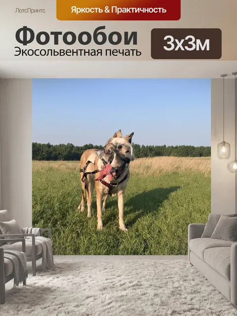 Фотообои style: graphic design using contrasting colors and geometric shapes