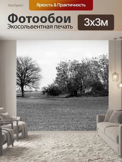 Фотообои Опушка леса