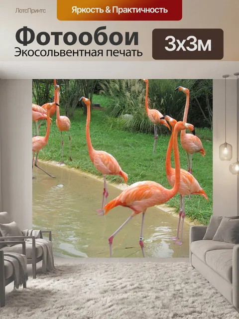 Фотообои Розовый фламинго