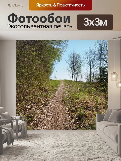 Фотообои Лесная тропа