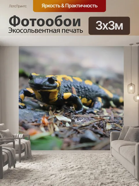 Фотообои Огненная саламандра