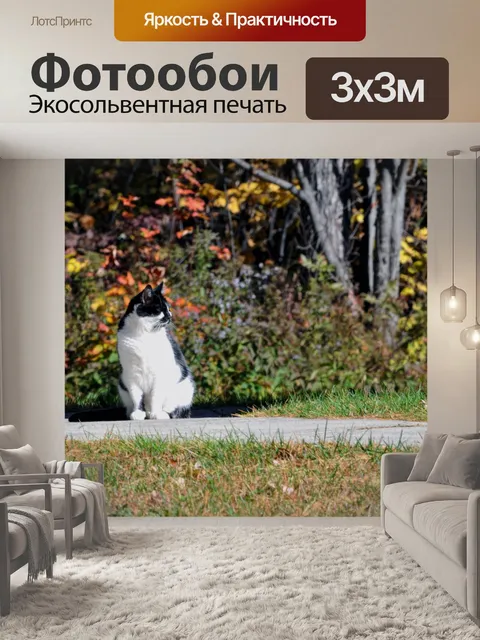 Фотообои Кот в осень # 2